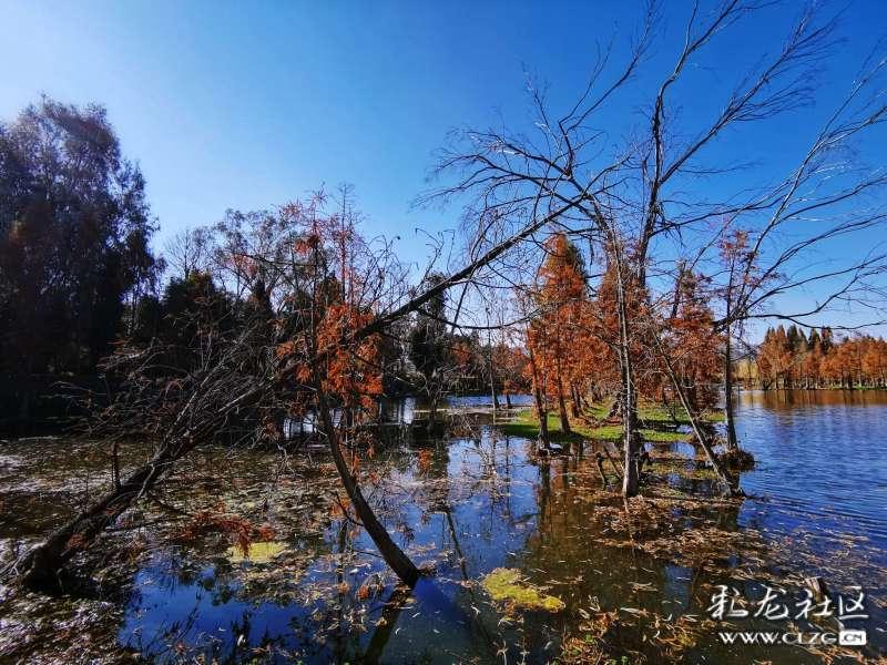 探索人流与药流那个好?药流人流哪个好,发现知识星球的乐趣
